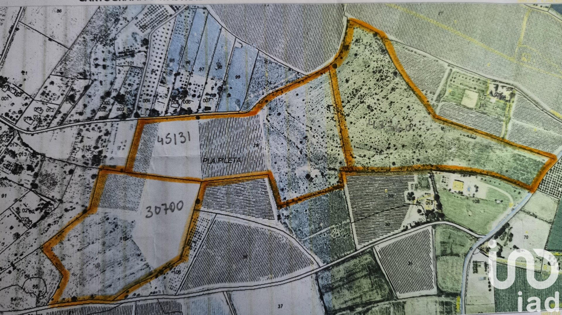 Land plot in Novelda, Alicante, Spain 120000 sq.m. No. 153056