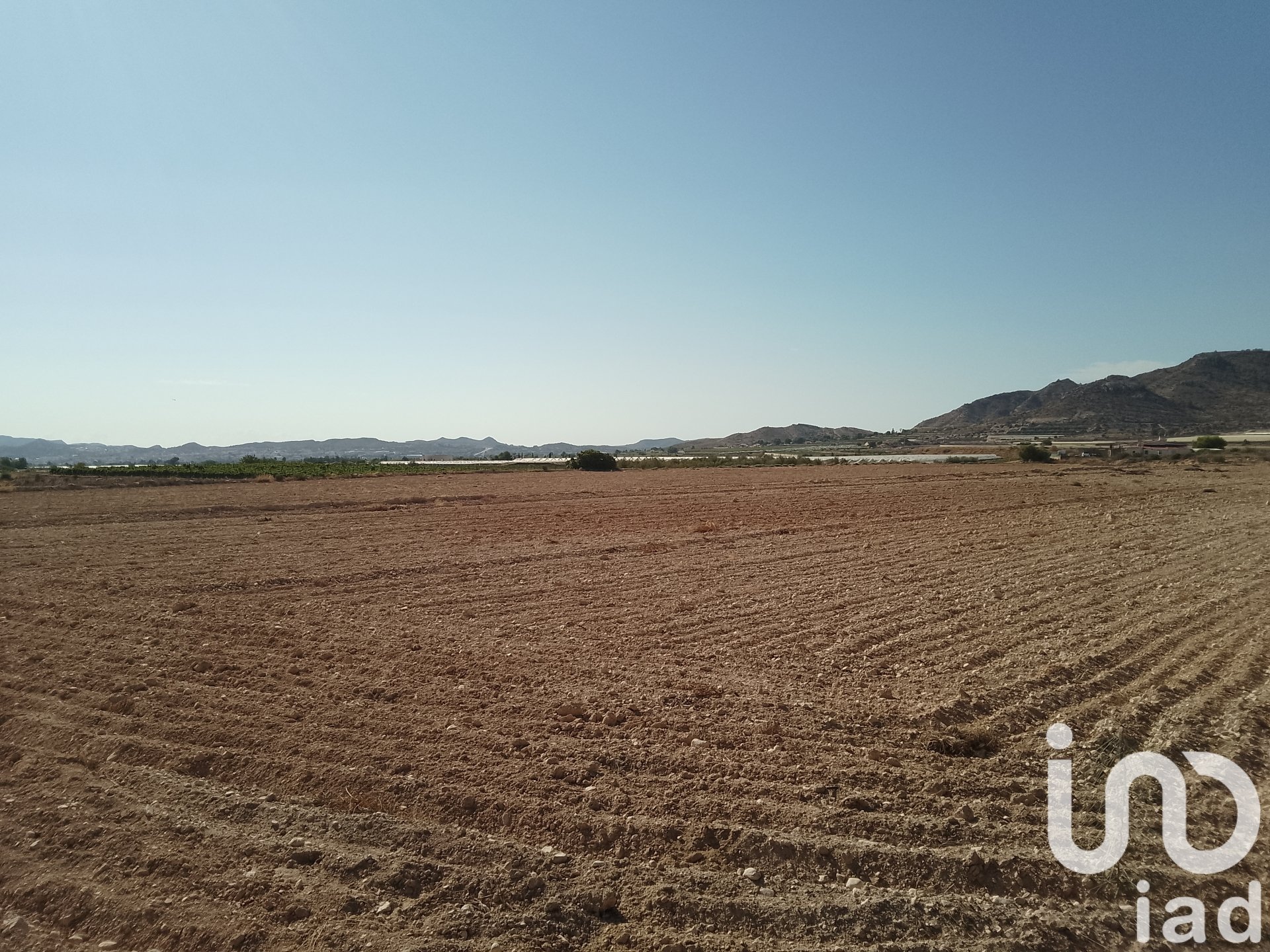 Land plot in Novelda, Alicante, Spain 120000 sq.m. No. 153056