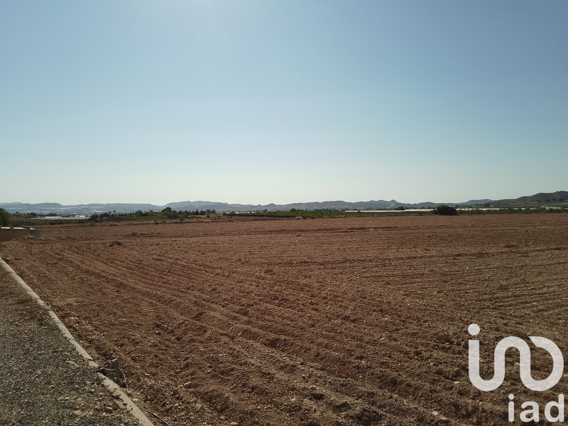 Land plot in Novelda, Alicante, Spain 120000 sq.m. No. 153056