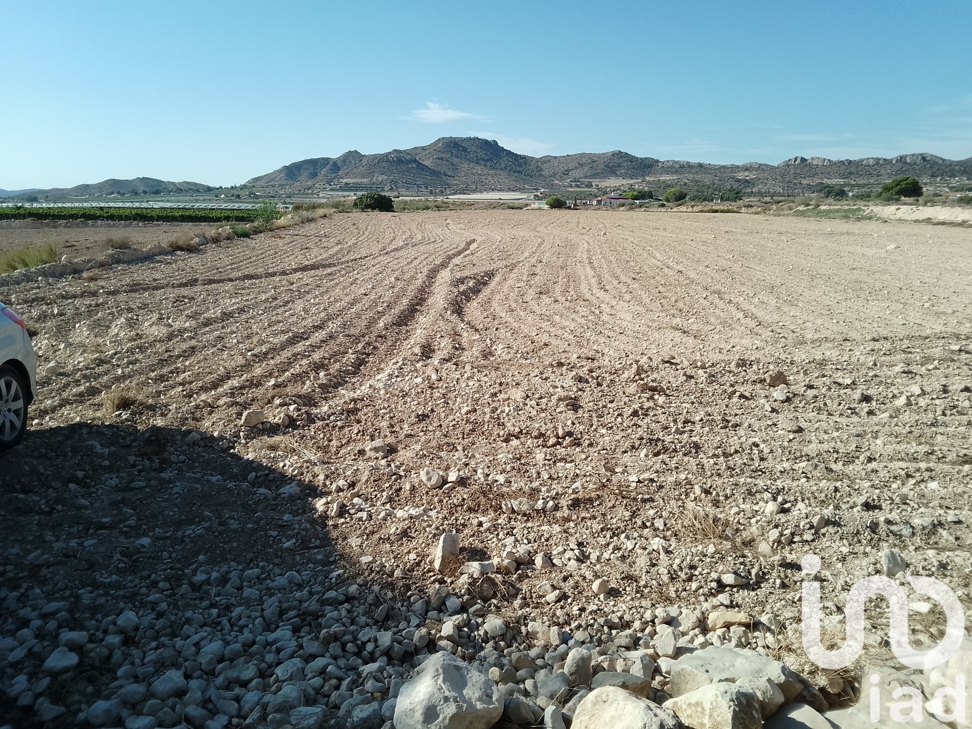 Land plot in Novelda, Alicante, Spain 120000 sq.m. No. 153056