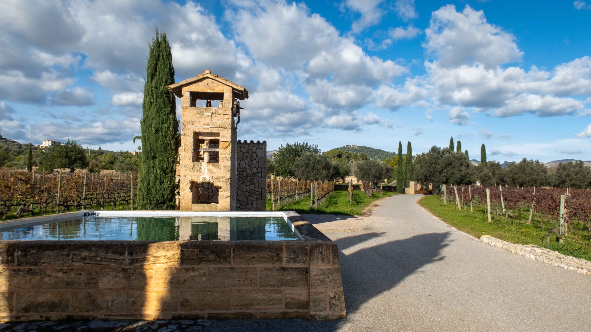 Finca Pollenca, Mallorca, Spānijā 6 istabas, 1307 m2 Nr. 147005