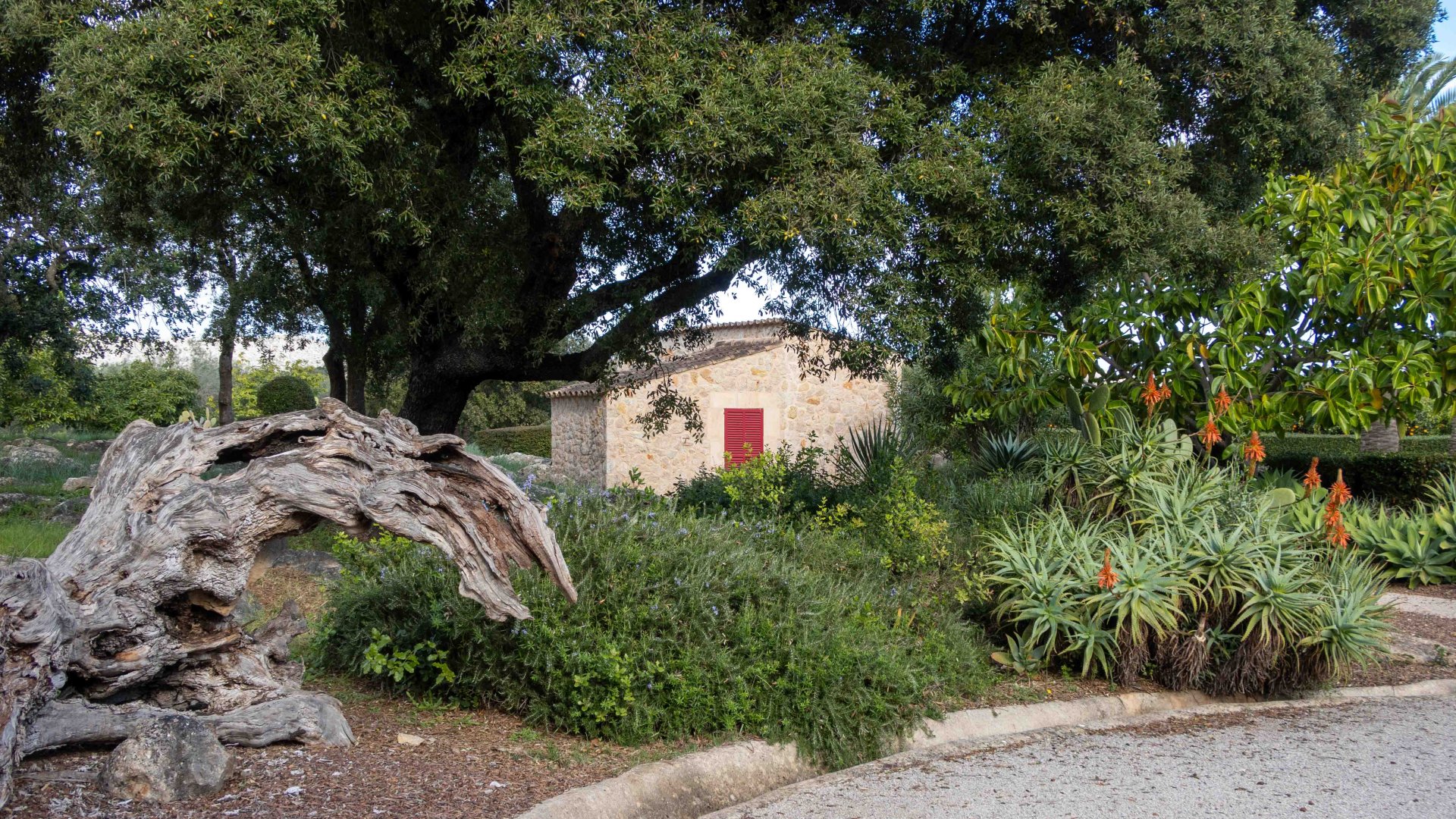 Finca Pollenca, Mallorca, Spānijā 6 istabas, 1307 m2 Nr. 147005