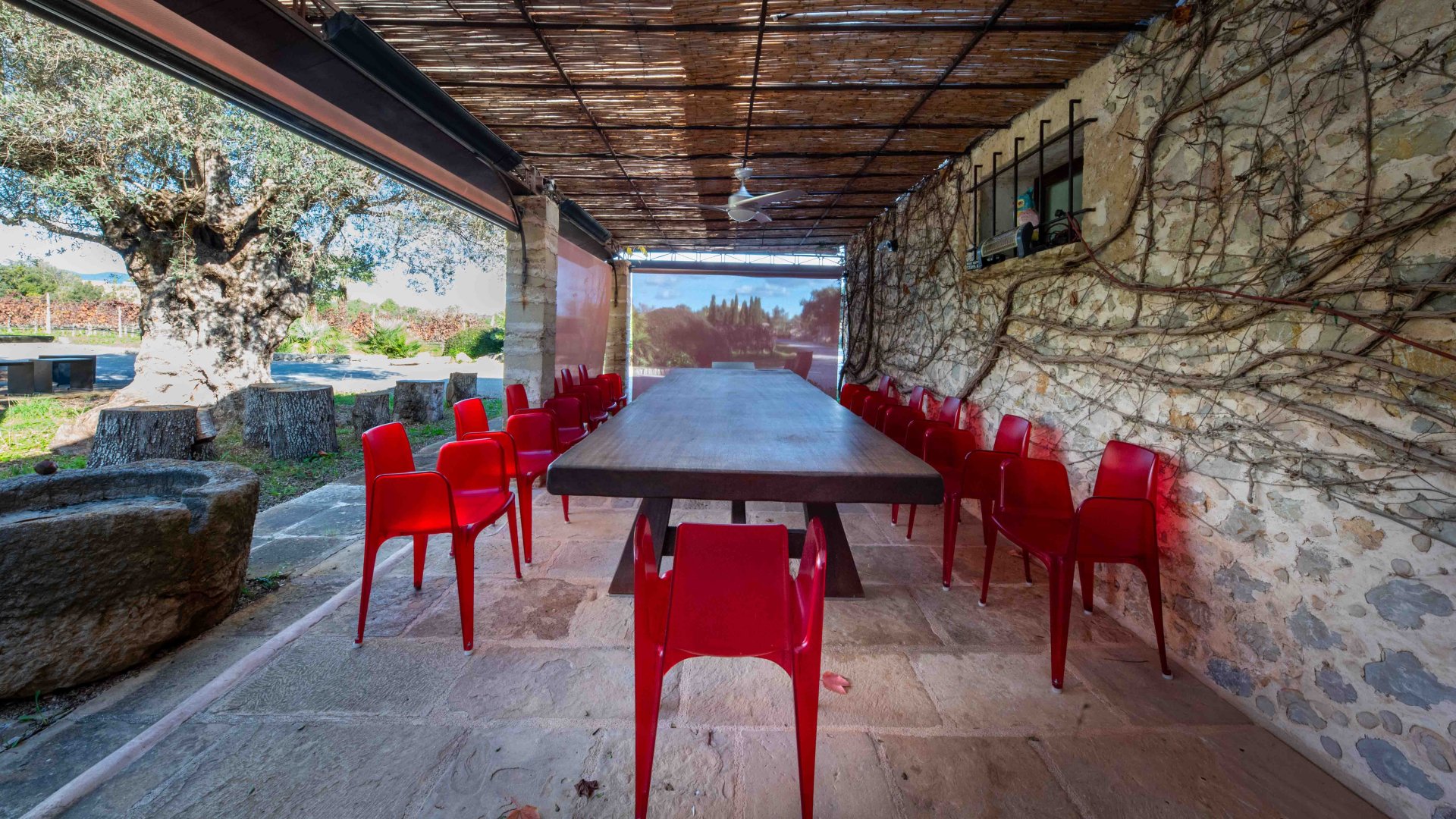 Finca Pollenca, Mallorca, Spānijā 6 istabas, 1307 m2 Nr. 147005