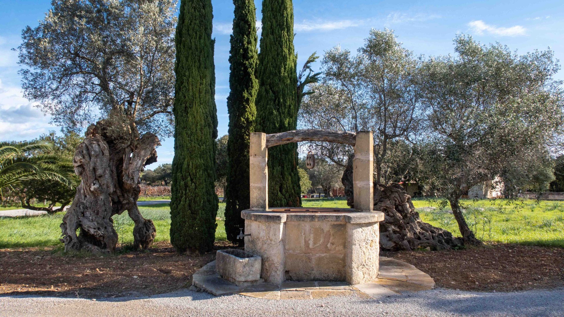 Finca Pollenca, Mallorca, Spānijā 6 istabas, 1307 m2 Nr. 147005