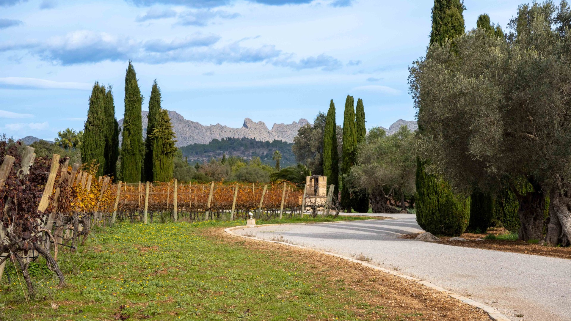 Finca Pollenca, Mallorca, Spānijā 6 istabas, 1307 m2 Nr. 147005
