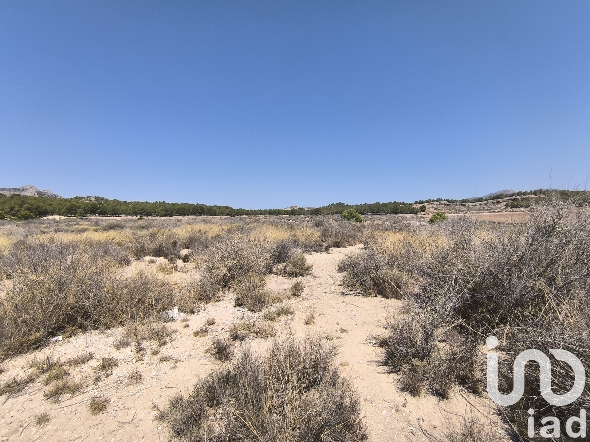 Land plot à Sax, Alicante, Espagne 75648 m2 No. 153208