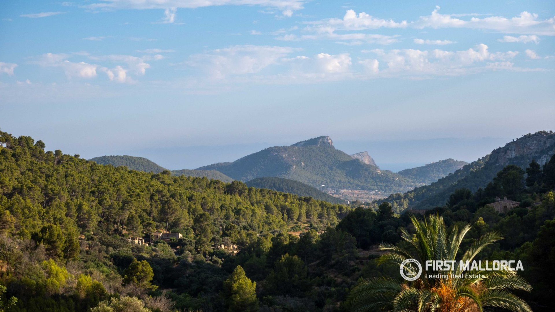 Finca in Andratx, Mallorca, Spanien 4 Schlafzimmer, 220 m2 Nr. 191957