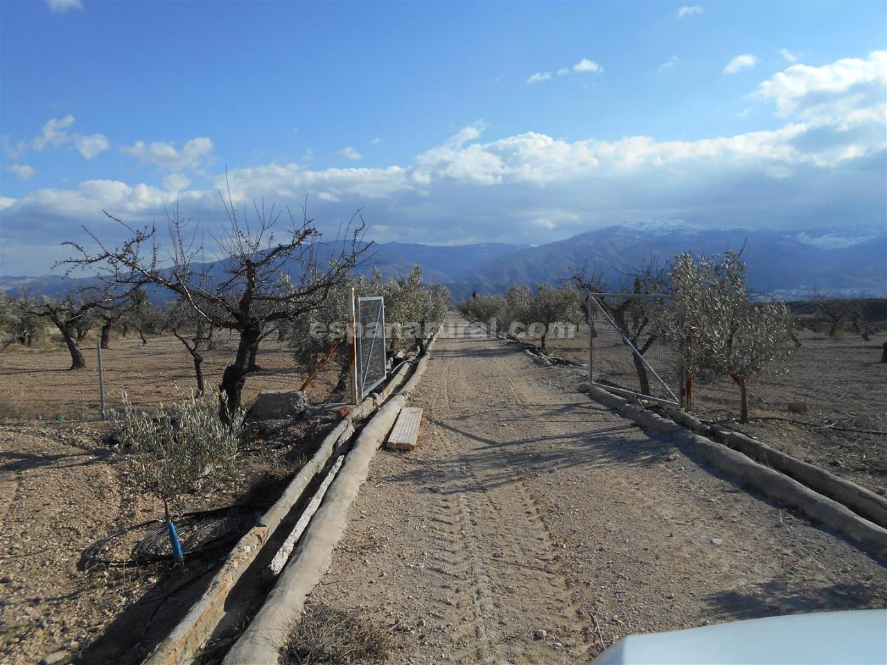Finca a Lucar, Almeria, Spagna 3 camere da letto, 510 mq. N° 78058