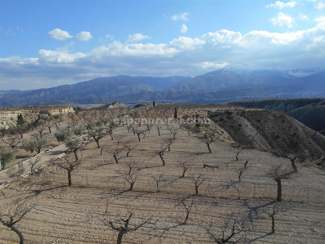 Finca a Lucar, Almeria, Spagna 3 camere da letto, 510 mq. N° 78058