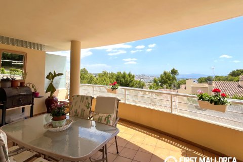 Apartment in Bendinat, Mallorca, Spain 4 bedrooms, 150 sq.m. No. 171996