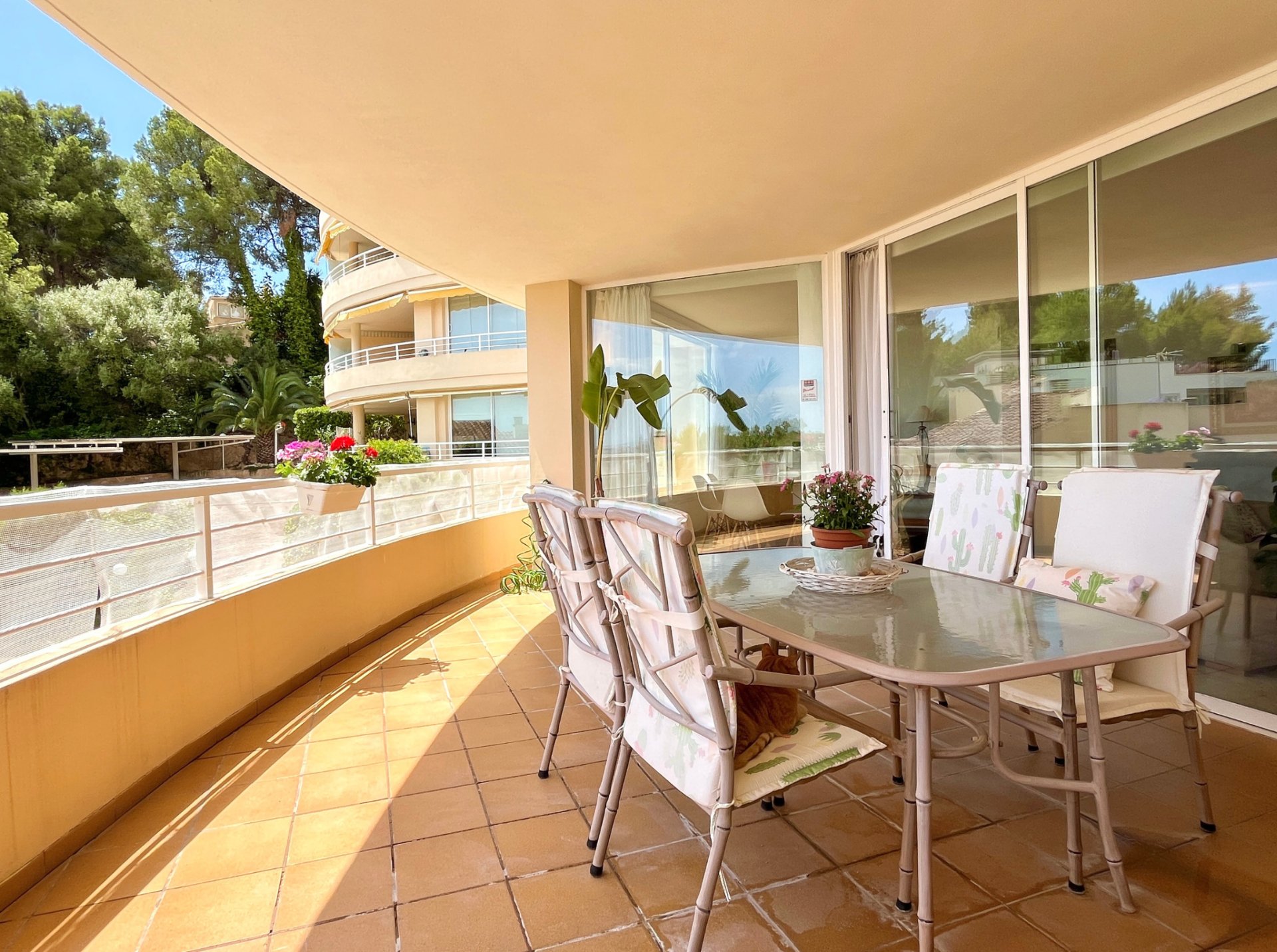Huoneisto Bendinat, Mallorca, Espanja 4 makuuhuonetta, 150 m2 No. 171996