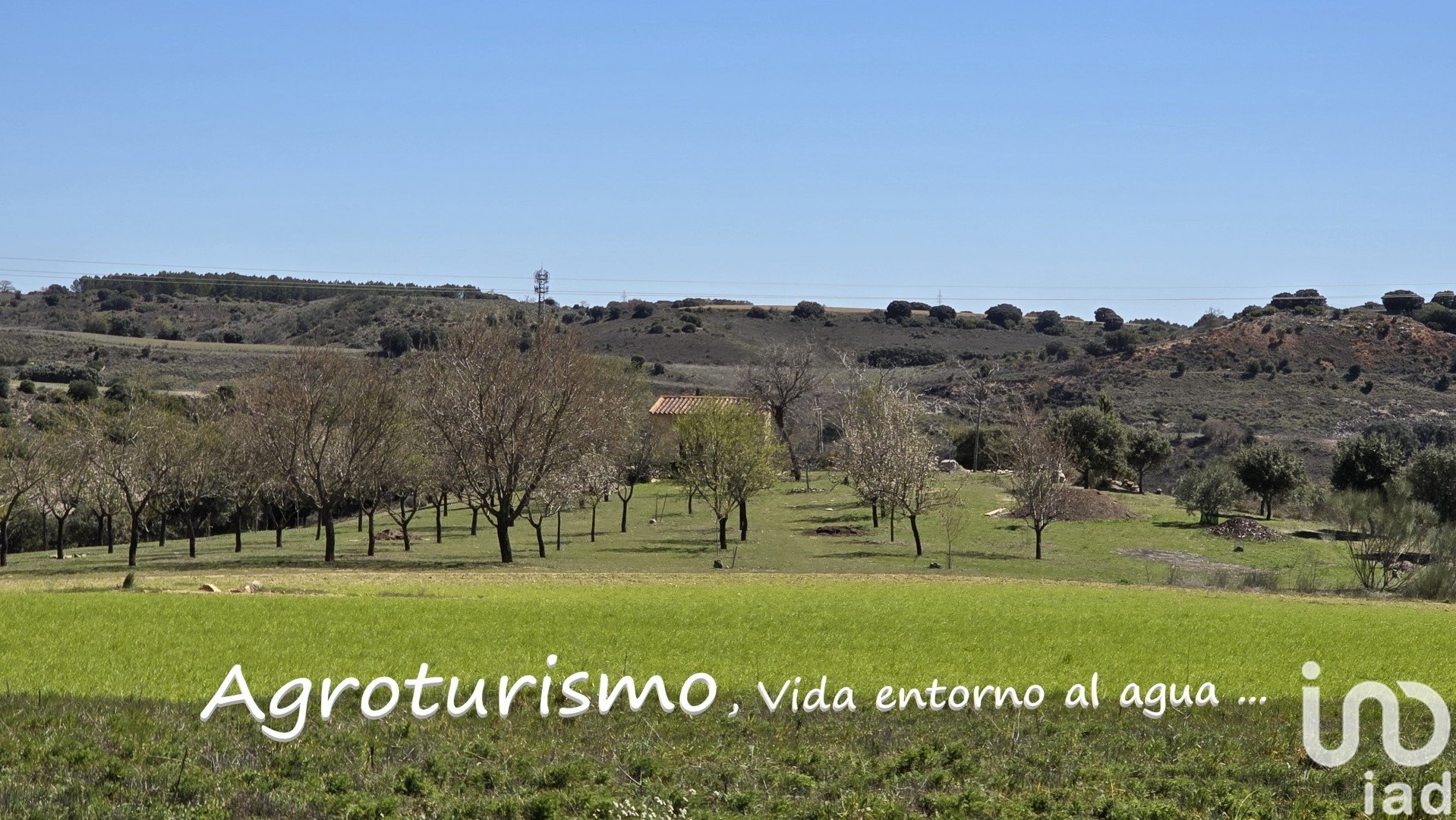 Tontti Los Santos de la Humosa, Madrid, Espanja 49315 m2 No. 185938