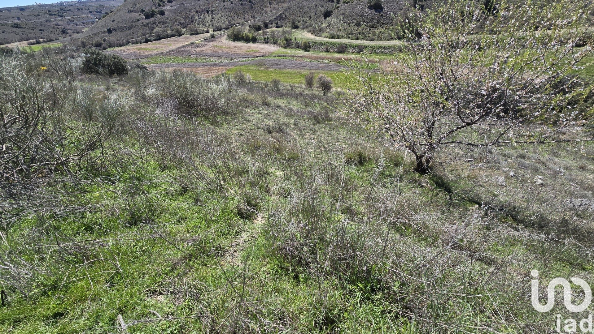 Tontti Los Santos de la Humosa, Madrid, Espanja 49315 m2 No. 185938