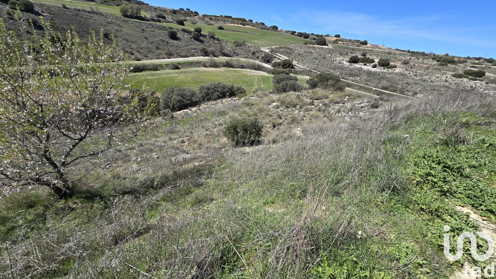Tontti Los Santos de la Humosa, Madrid, Espanja 49315 m2 No. 185938