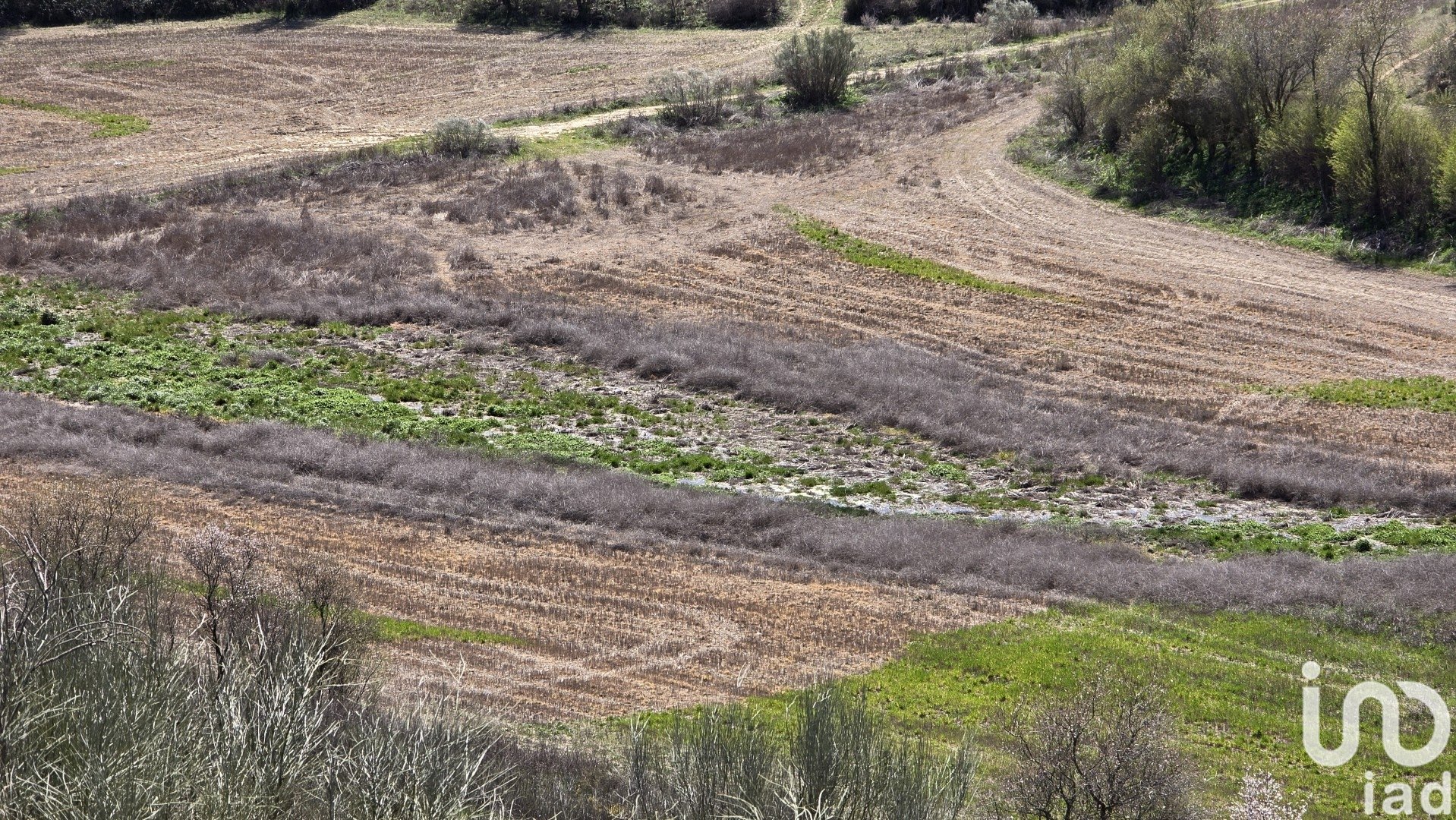 Tontti Los Santos de la Humosa, Madrid, Espanja 49315 m2 No. 185938