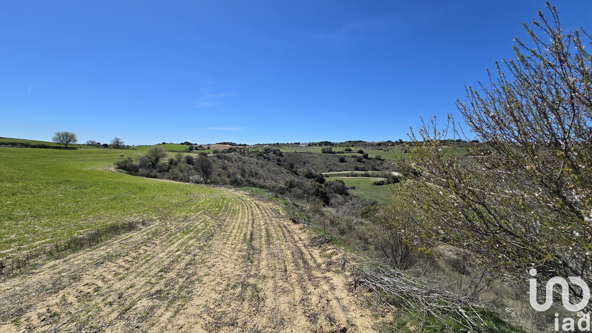 Tontti Los Santos de la Humosa, Madrid, Espanja 49315 m2 No. 185938