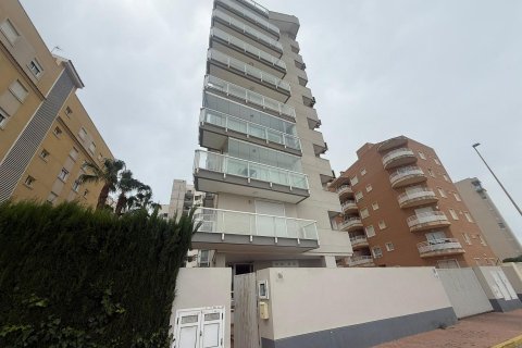 Apartament w Guardamar del Segura, Alicante, Hiszpania 2 sypialnie, 74 mkw. nr 177549
