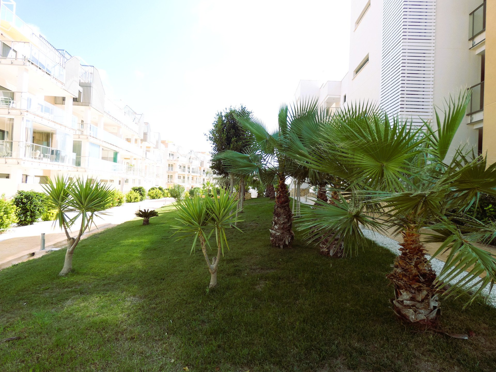 Appartamento a Los Dolses, Alicante, Spagna 2 camere da letto, 82 mq. N° 139266