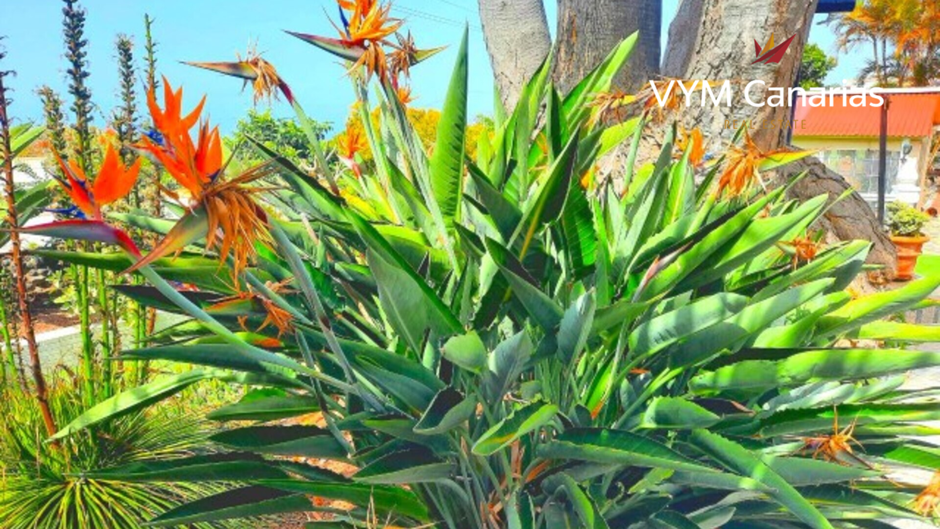 Huvila Cuesta de la Villa, Tenerife, Espanja 3 makuuhuonetta, 235 m2 No. 164839