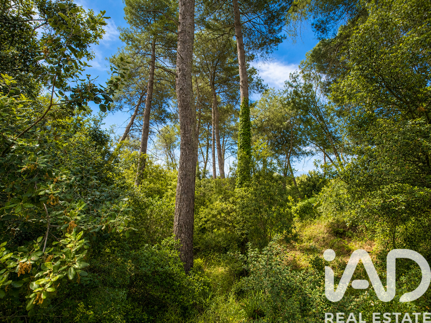 Land plot in Castellar Del Valles, Barcelona, Spain 1357 sq.m. No. 188284