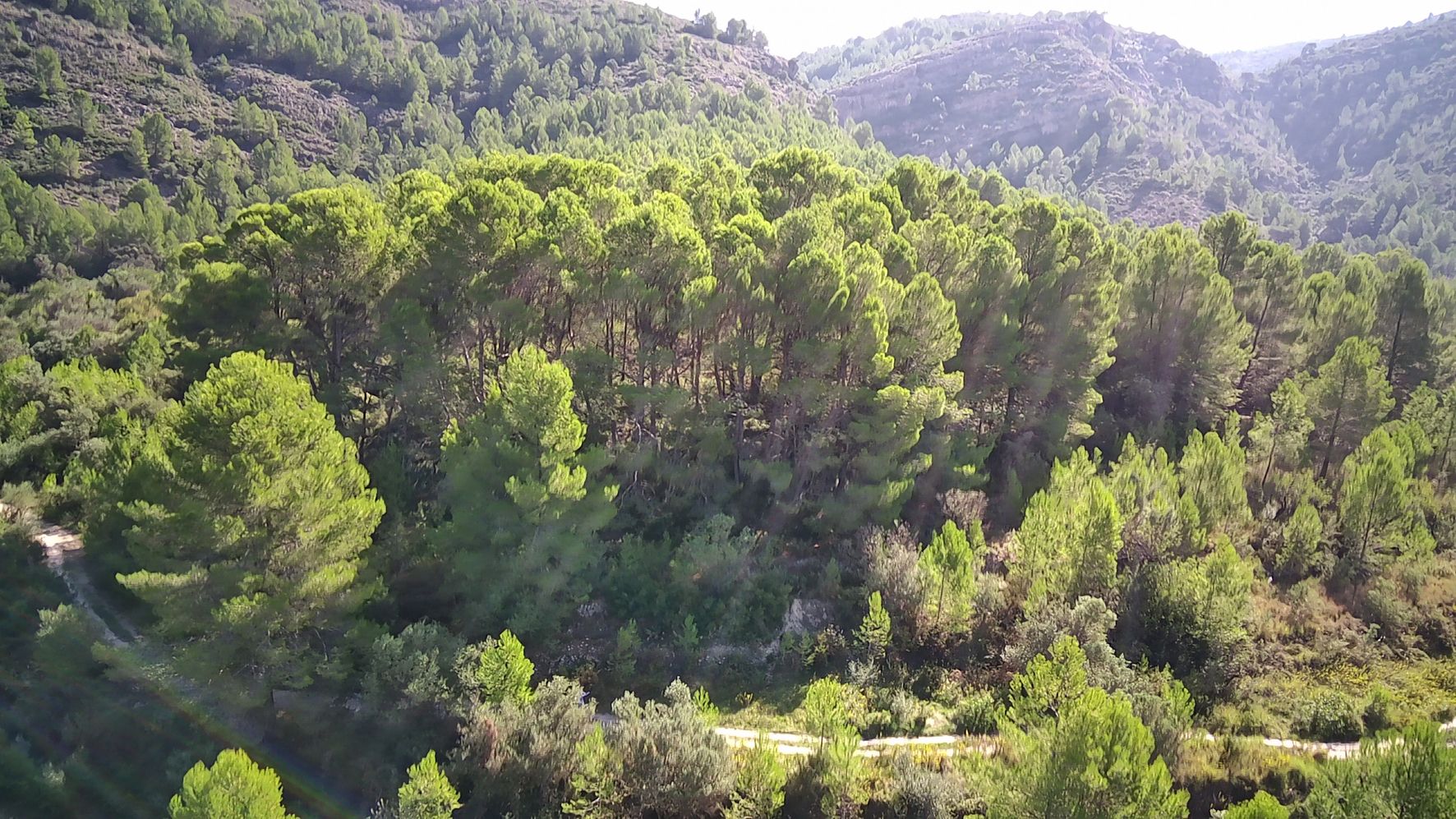 Terreno a Orba, Alicante, Spagna N° 183906