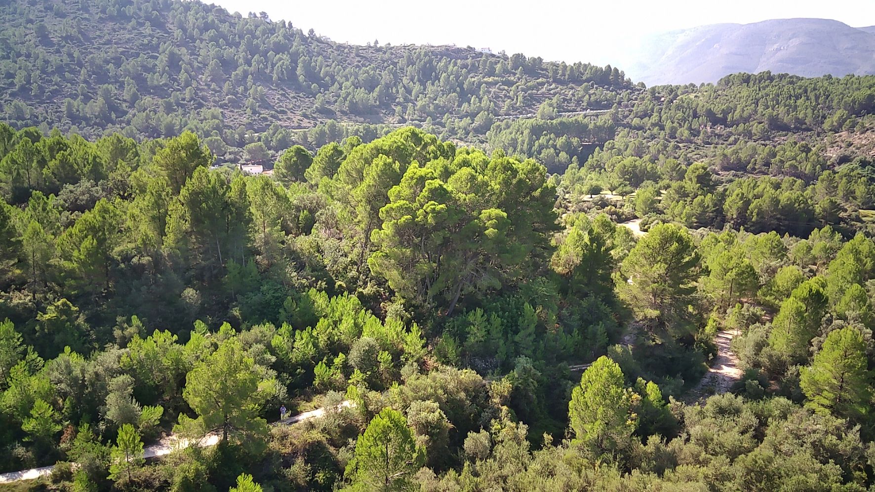 Terreno a Orba, Alicante, Spagna N° 183906