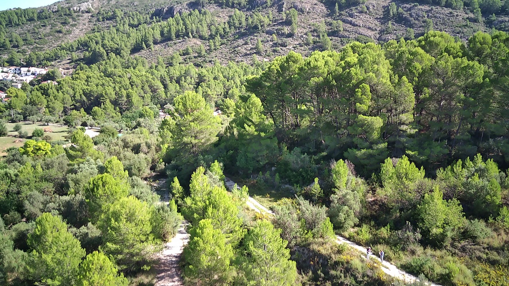 Terreno a Orba, Alicante, Spagna N° 183906