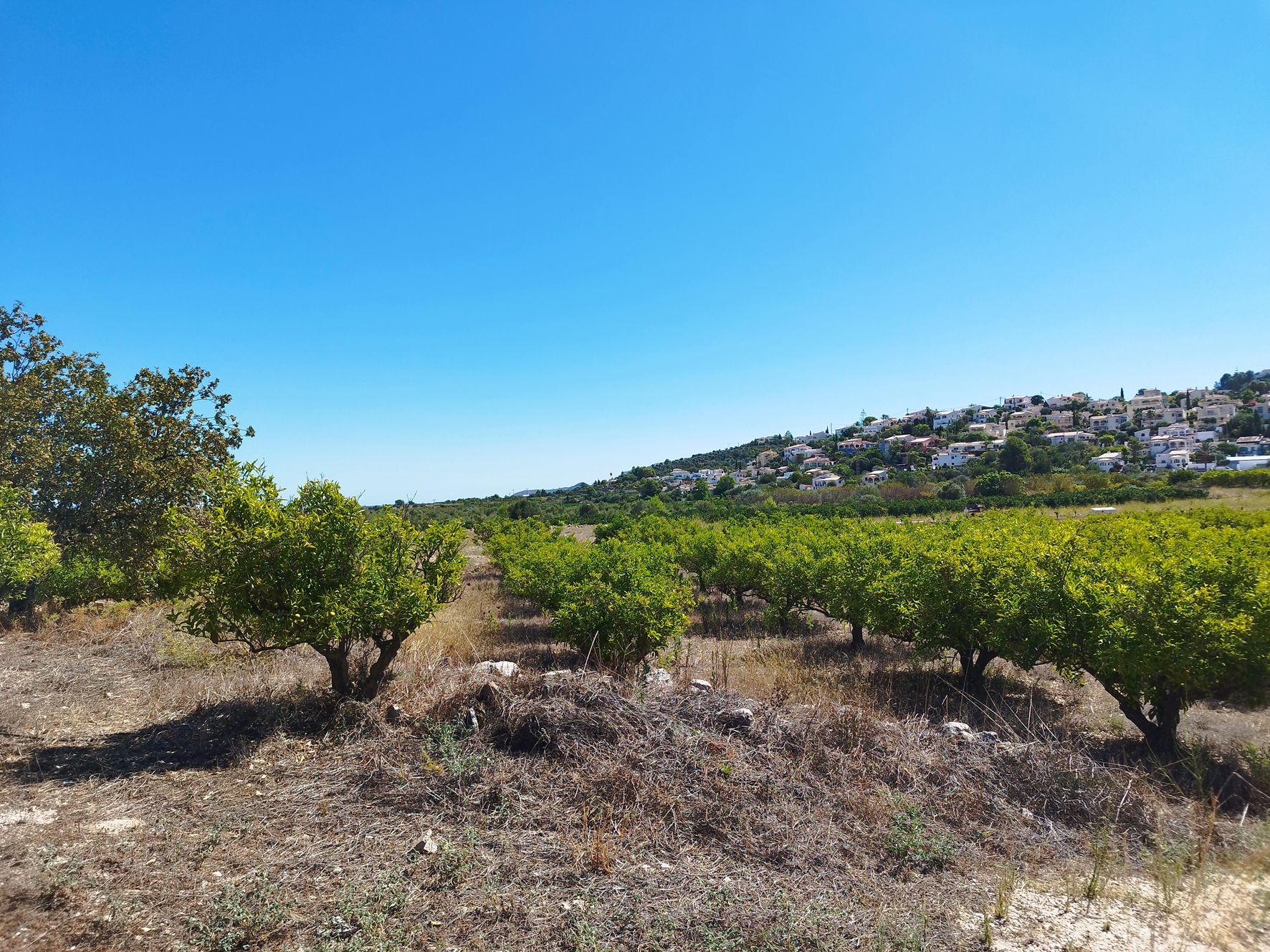 Land in Orba, Alicante, Spanien Nr. 183909