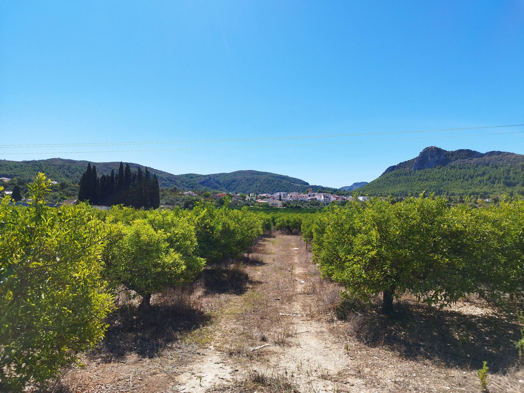 Land in Orba, Alicante, Spanien Nr. 183909
