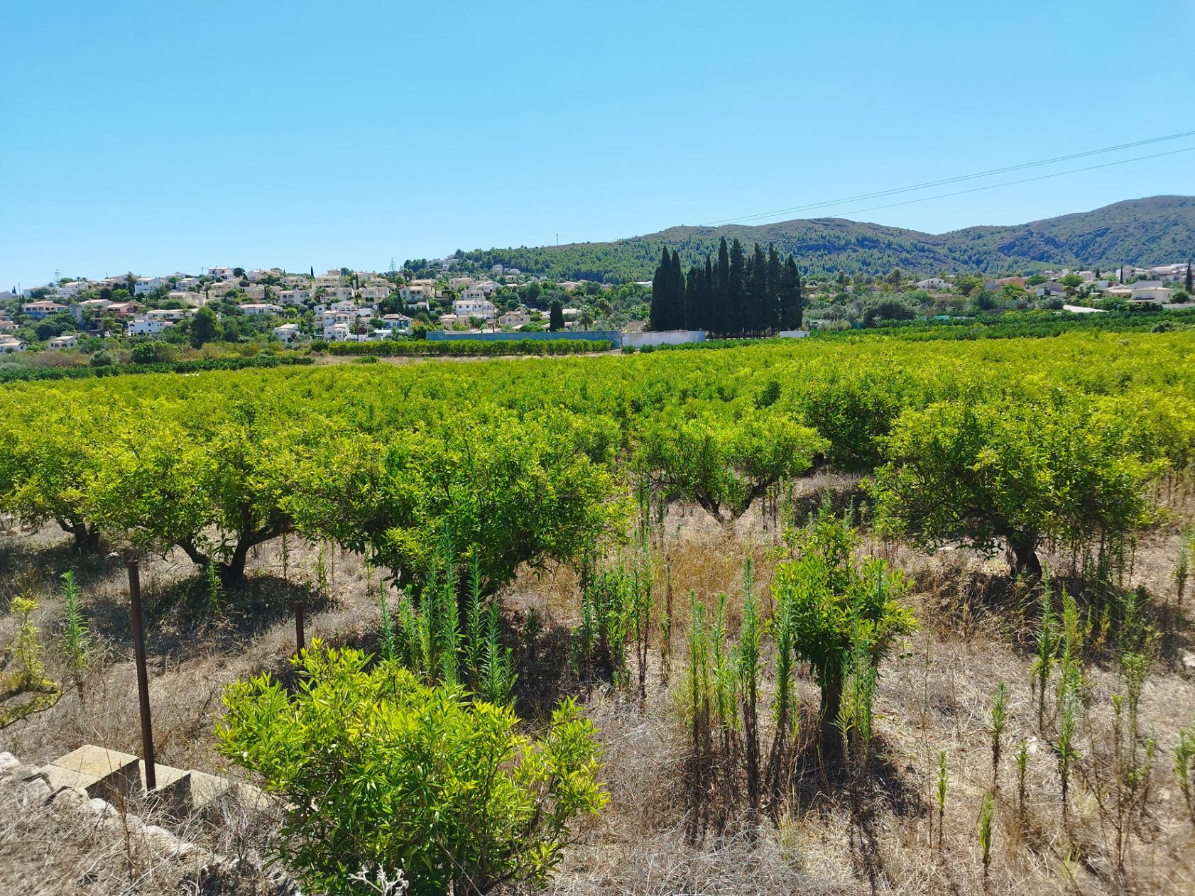 Land in Orba, Alicante, Spanien Nr. 183909