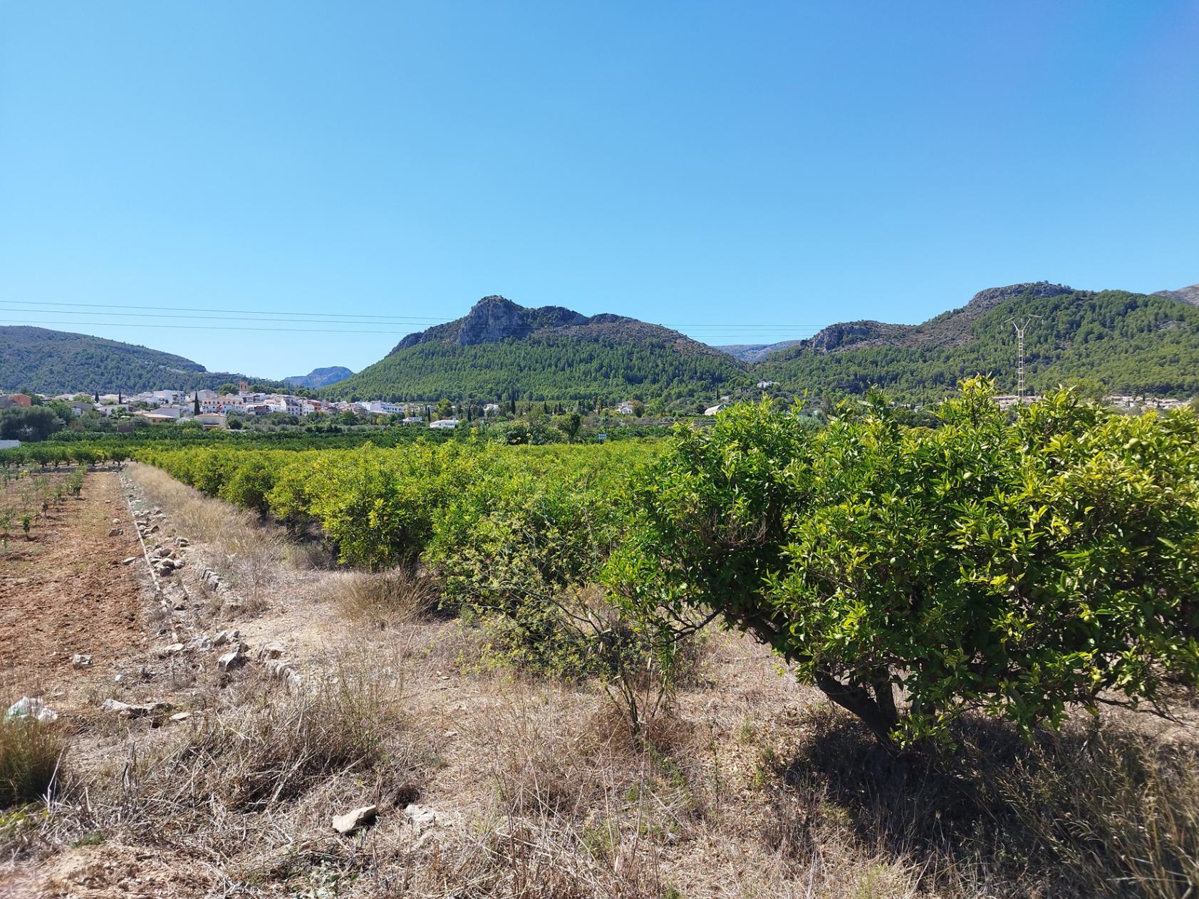 Land in Orba, Alicante, Spanien Nr. 183909