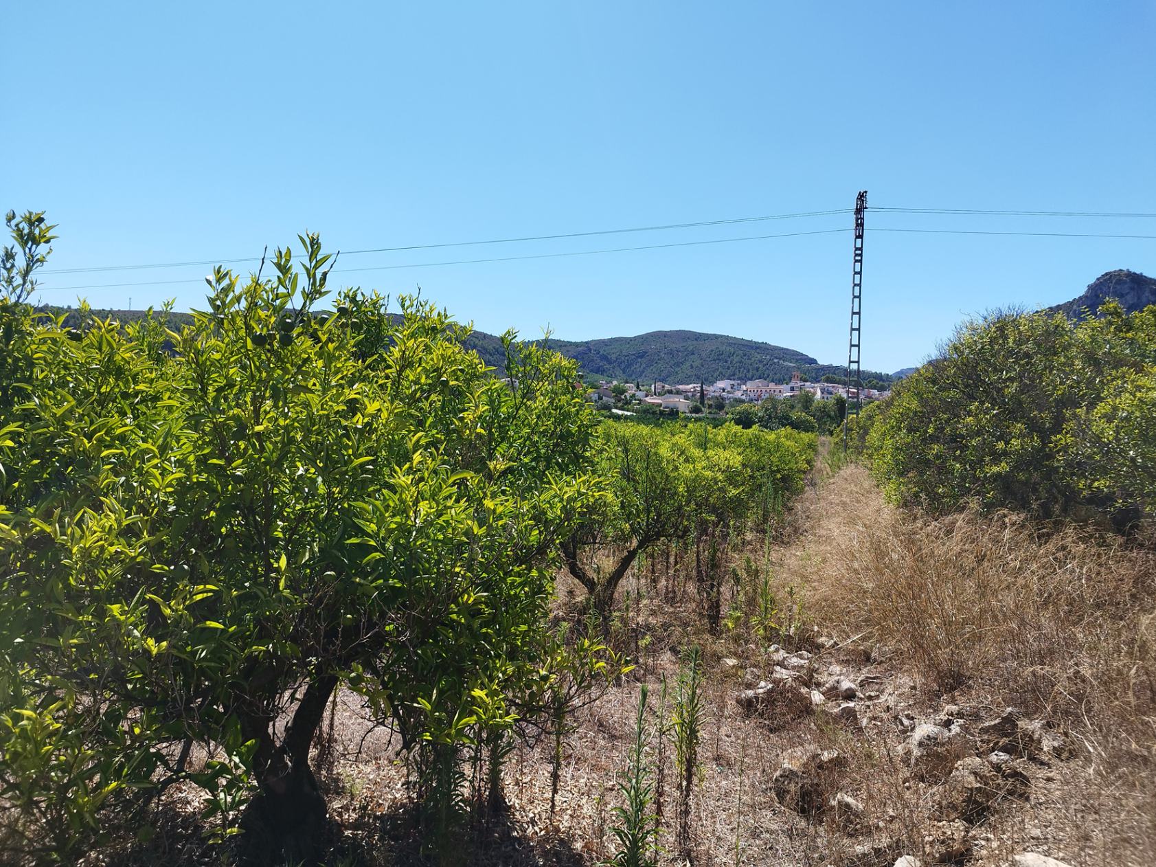 Land in Orba, Alicante, Spanien Nr. 183909