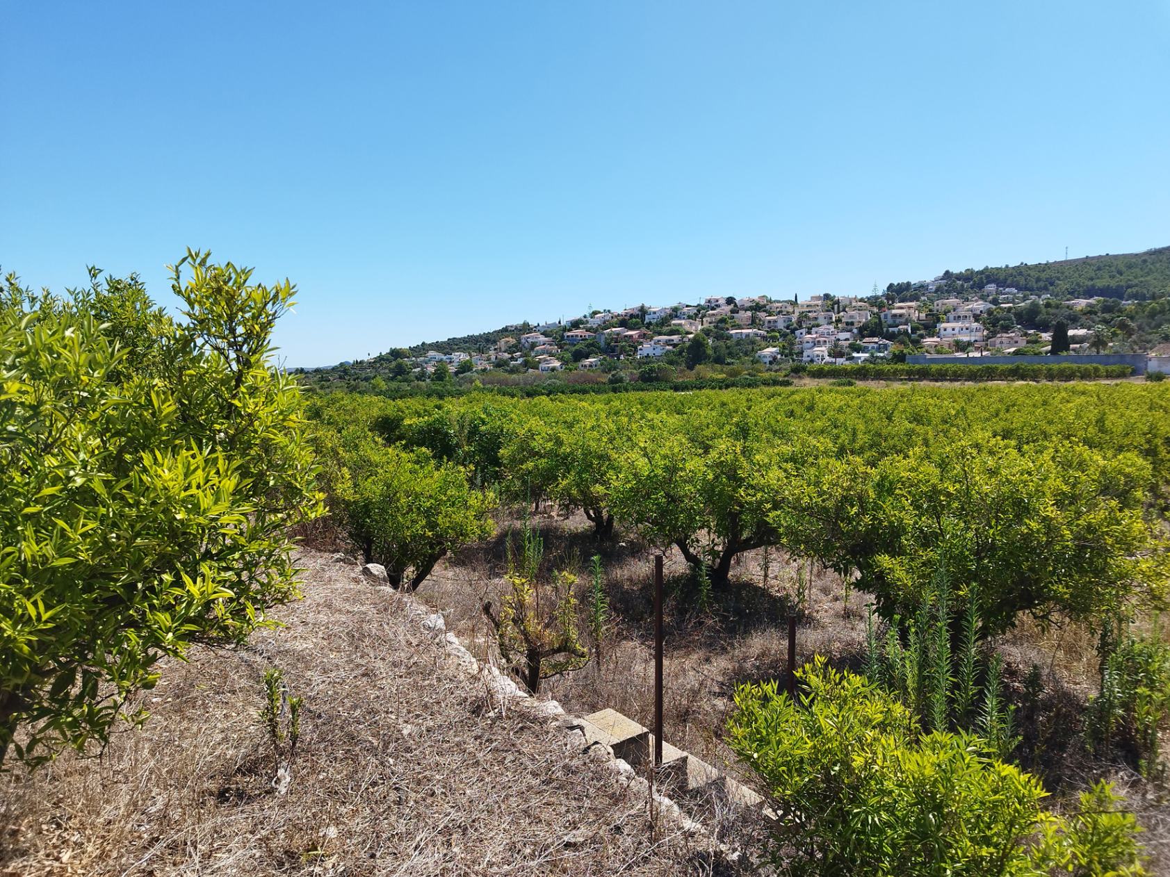 Land in Orba, Alicante, Spanien Nr. 183909