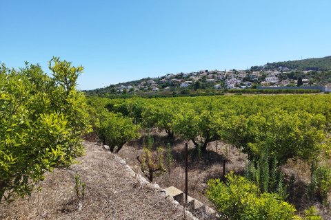 Zemes gabals Orba, Alicante, Spānijā Nr. 183909