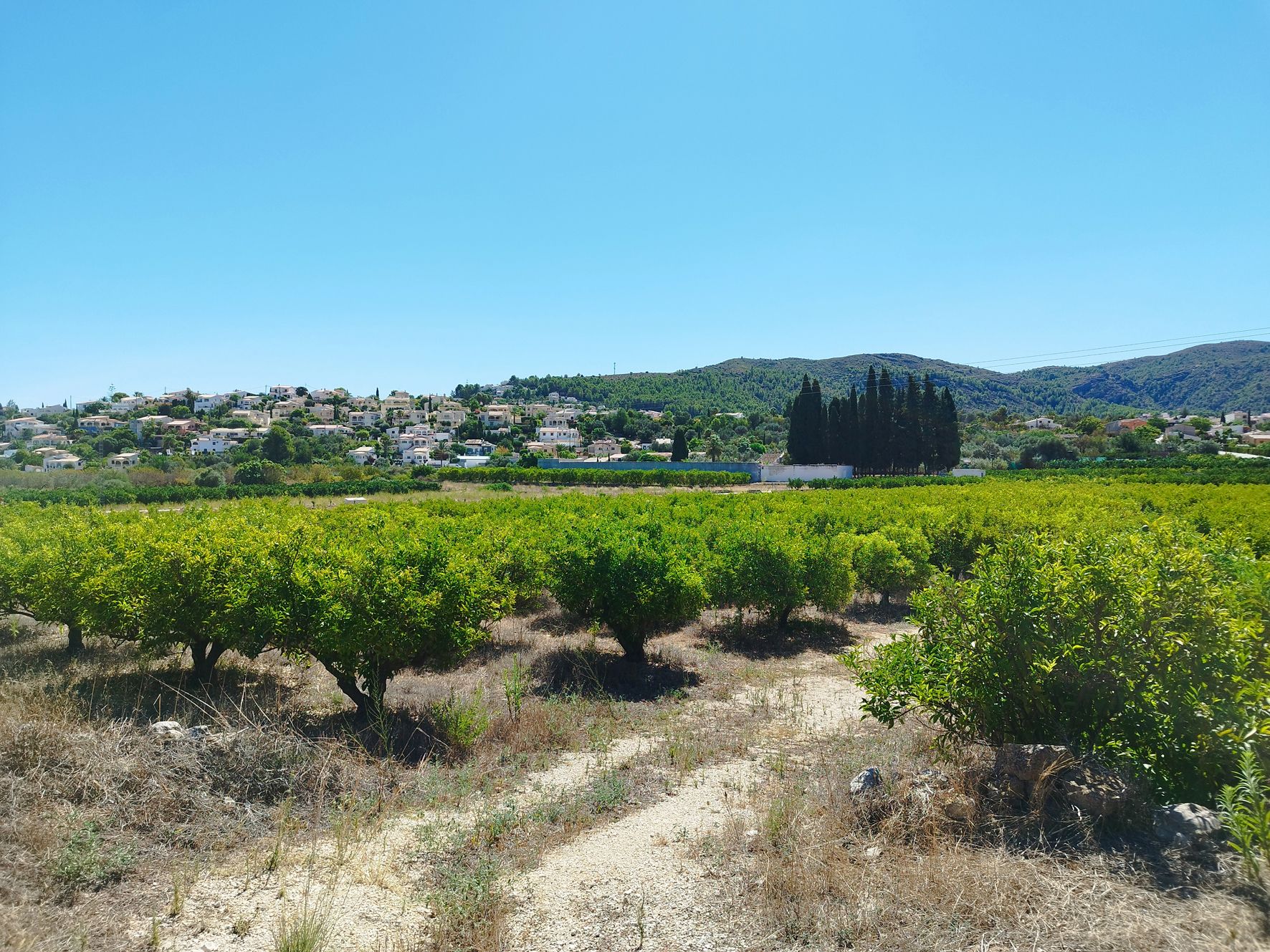 Land in Orba, Alicante, Spanien Nr. 183909