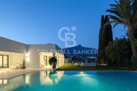 Villa in Marbella, Malaga, Spanien 7 Schlafzimmer, 754 m2 Nr. 158256