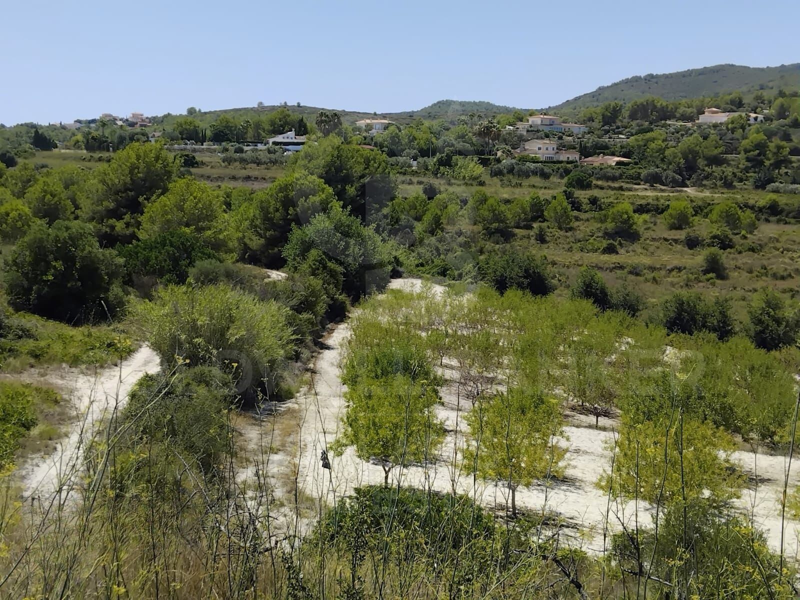 Tontti Javea, Alicante, Espanja 11258 m2 No. 158257