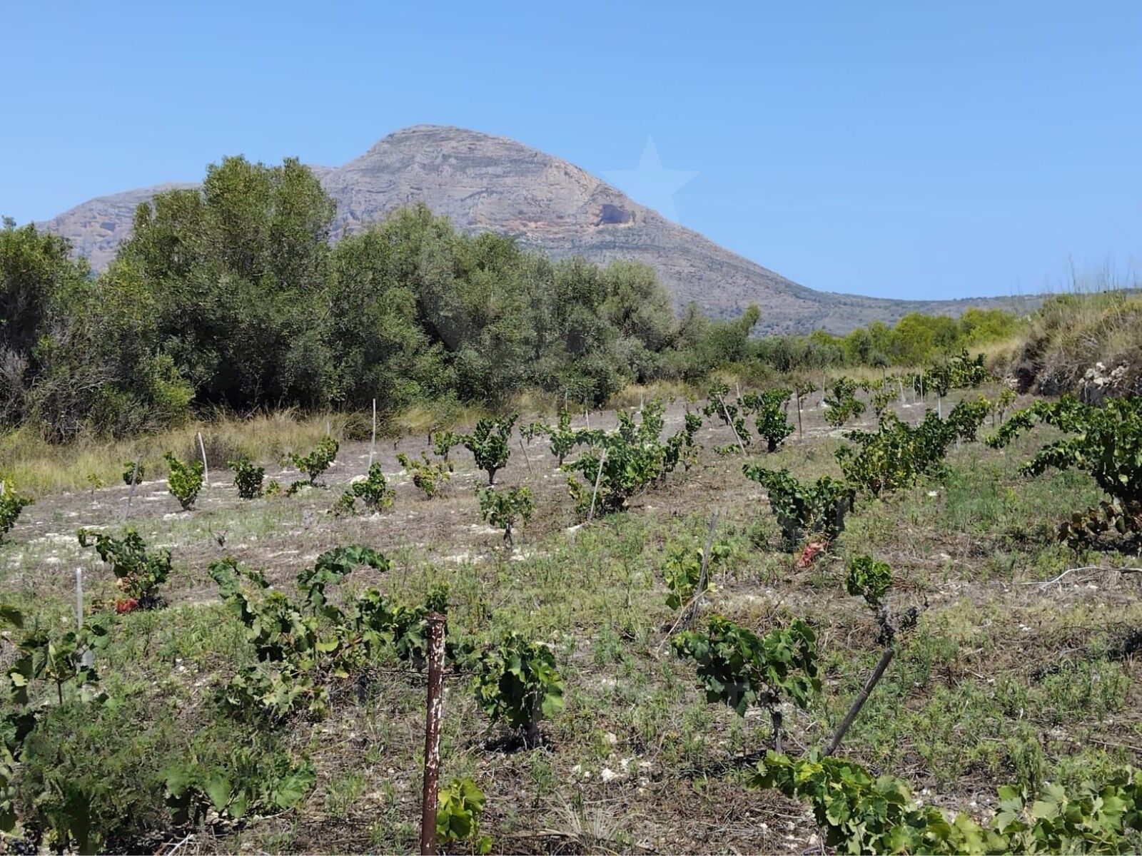 Tontti Javea, Alicante, Espanja 11258 m2 No. 158257