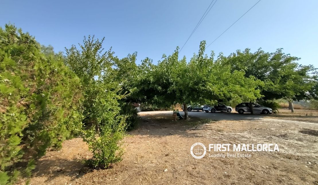Finca in Lloret De Vistalegre, Mallorca, Spanien 3 Schlafzimmer, 130 m2 Nr. 190537
