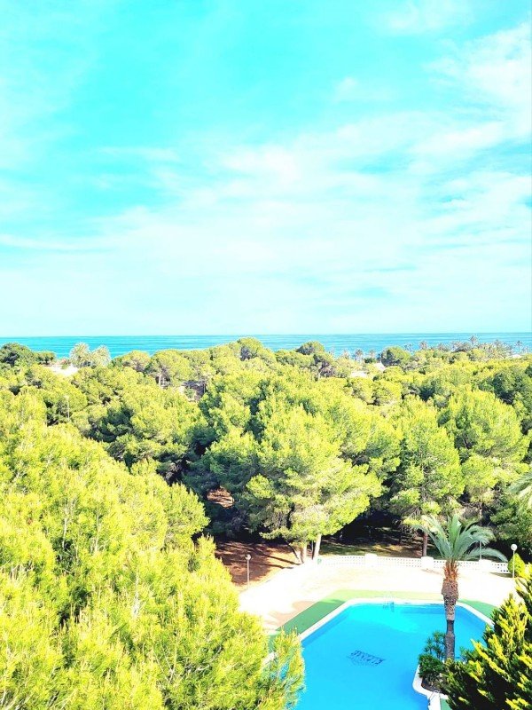 Apartamento en Dehesa De Campoamor, Alicante, España 3 dormitorios, 108 m2 No. 145339