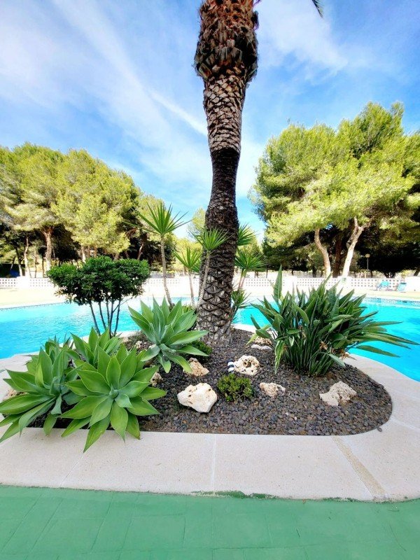 Apartamento en Dehesa De Campoamor, Alicante, España 3 dormitorios, 108 m2 No. 145339