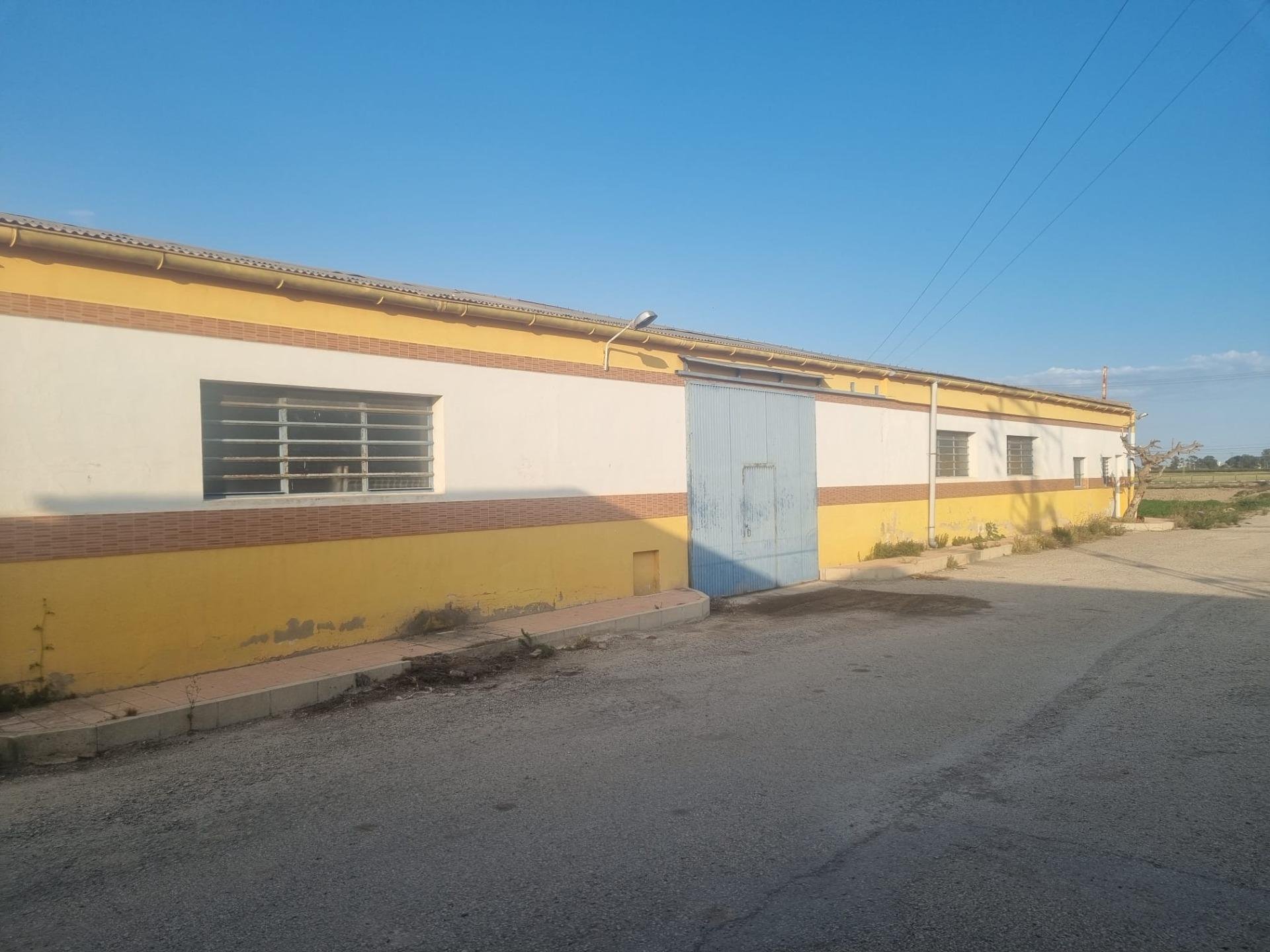 Magazzino a San Fulgencio, Alicante, Spagna 900 mq. N° 183629