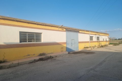 Warehouse in San Fulgencio, Alicante, Spain 900 sq.m. No. 183629