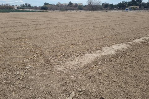 Land plot in Guardamar del Segura, Alicante, Spain No. 183631