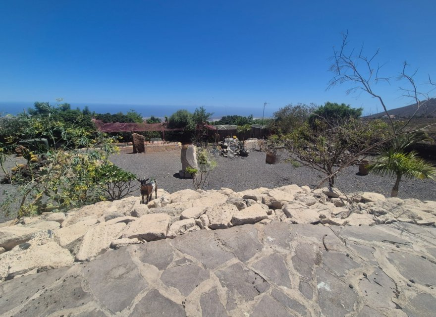 Villa en El Roque, Tenerife, España 5 dormitorios, 450 m2 No. 194734