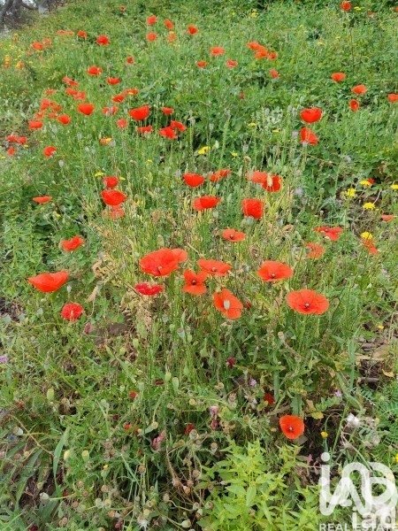 Kommersiell fastighet i Ripollet, Barcelona, Spanien 1 sovrum, 202 kvm. Nr. 172580