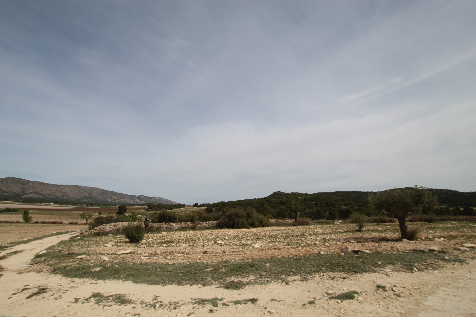 Finca Monovar, Alicante, Spānijā 1 istaba, 115 m2 Nr. 189410