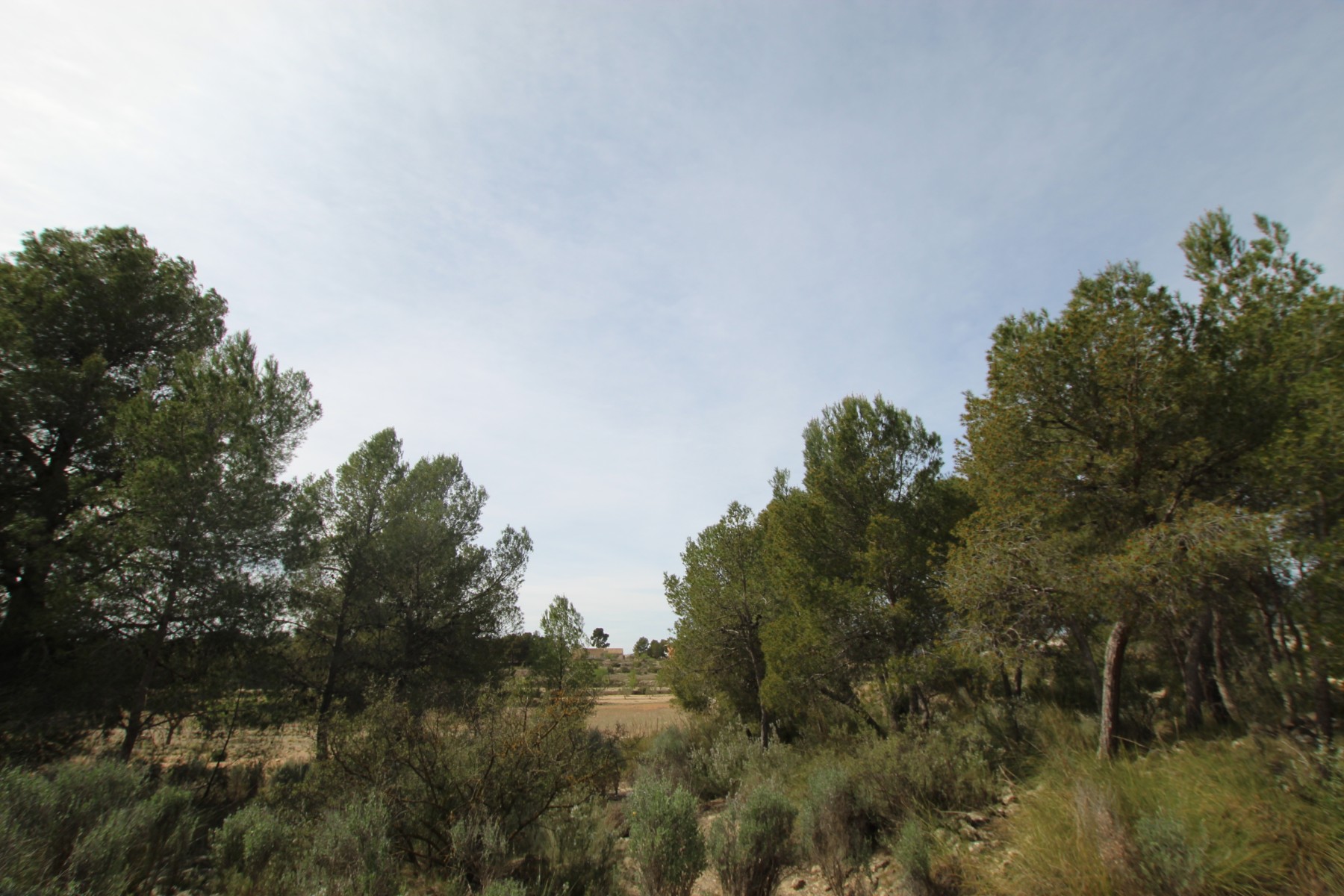 Finca Monovar, Alicante, Spānijā 1 istaba, 115 m2 Nr. 189410