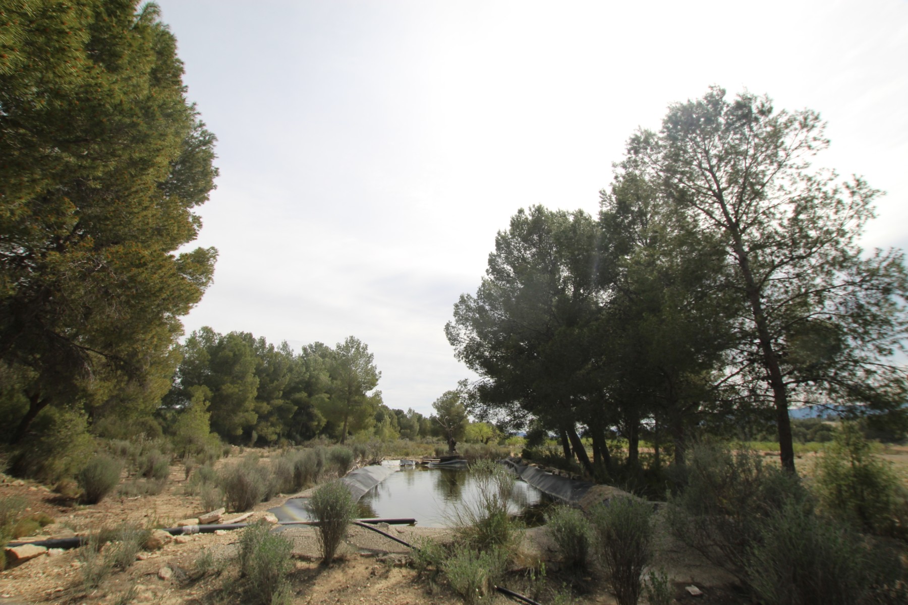Finca Monovar, Alicante, Spānijā 1 istaba, 115 m2 Nr. 189410