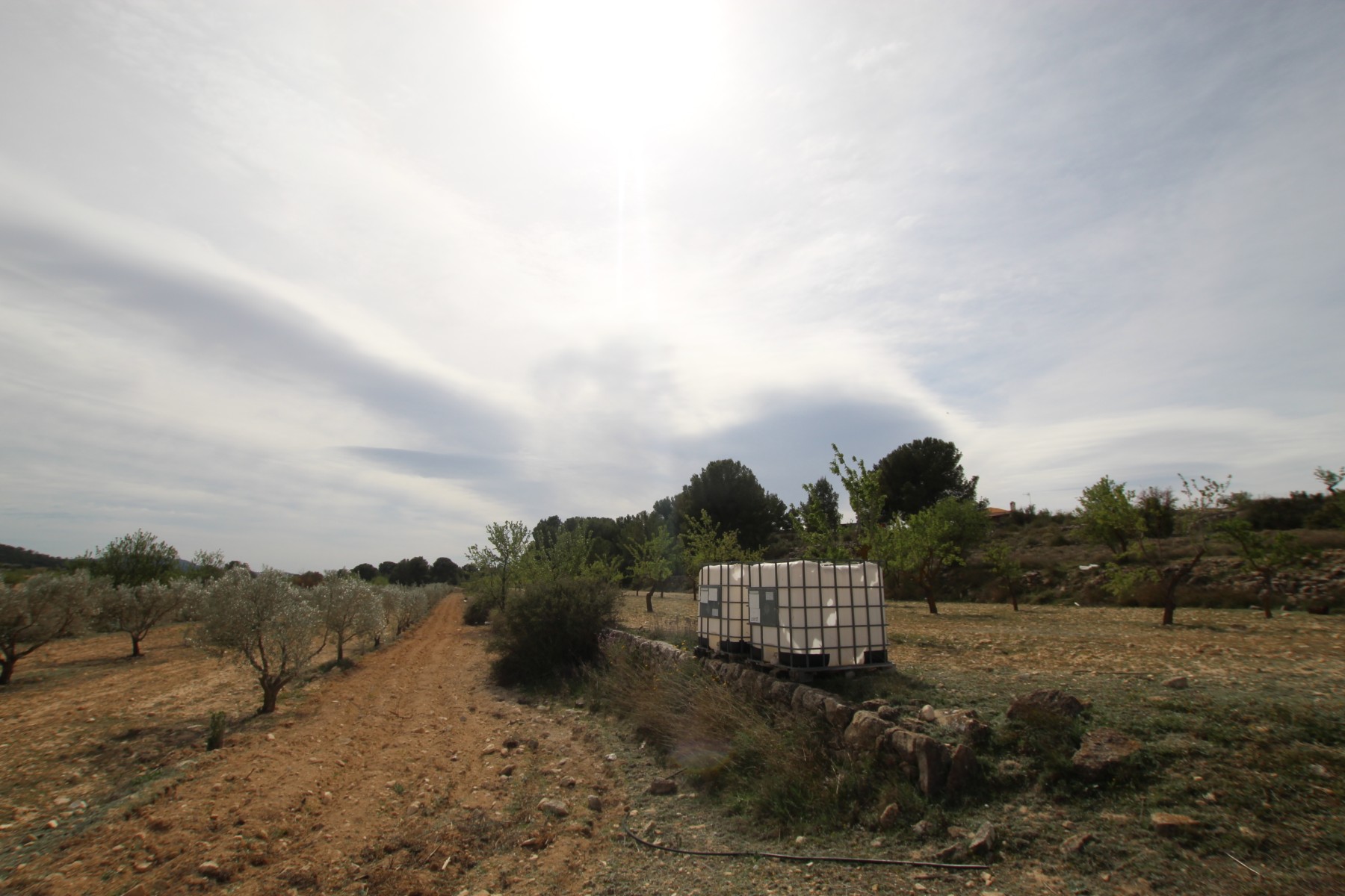 Finca Monovar, Alicante, Spānijā 1 istaba, 115 m2 Nr. 189410
